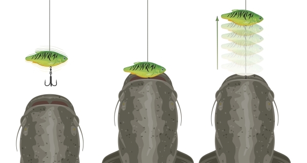 Madcat Wobler Inline Rattlers Perch 90g