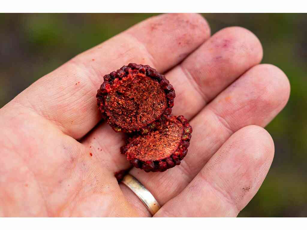 Chytil Pandemia boilies Kořeněný tuňák - česnek/asa 20mm/100g