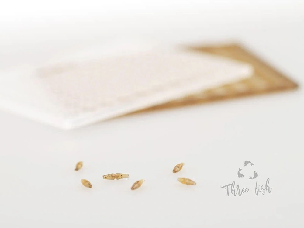 Zfish Zarážky Boilie Stops ZX 240 ks