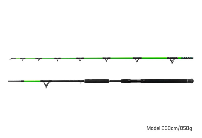 Delphin Prut WALKYRA 260cm/850g/2 díly