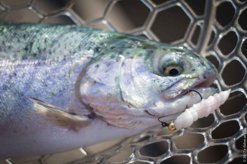 FishUP Pupa Hot Pink 1.2"(32mm) - 10 ks