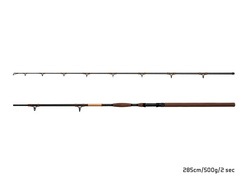 Delphin Prut SymbolCAT Bronze 285cm/500g/2 díly