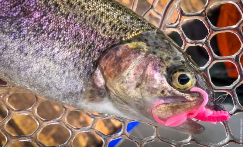 FishUP BAFFI Fly 1.5"(38mm) - 10 ks