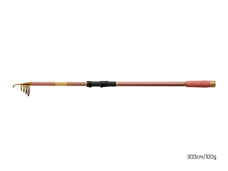 Delphin Prut QUEEN Tele 300cm/100g