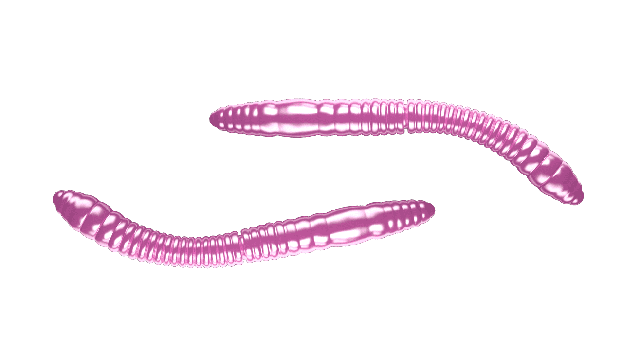 Libra Lures Fatty D’Worm Tournament 55 - Pink Pearl (Cheese) /12 ks