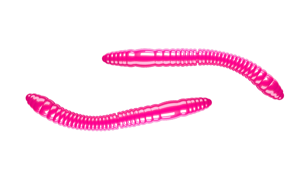 Libra Lures Fatty D’Worm Tournament 55 - Hot Pink (Cheese) /12 ks