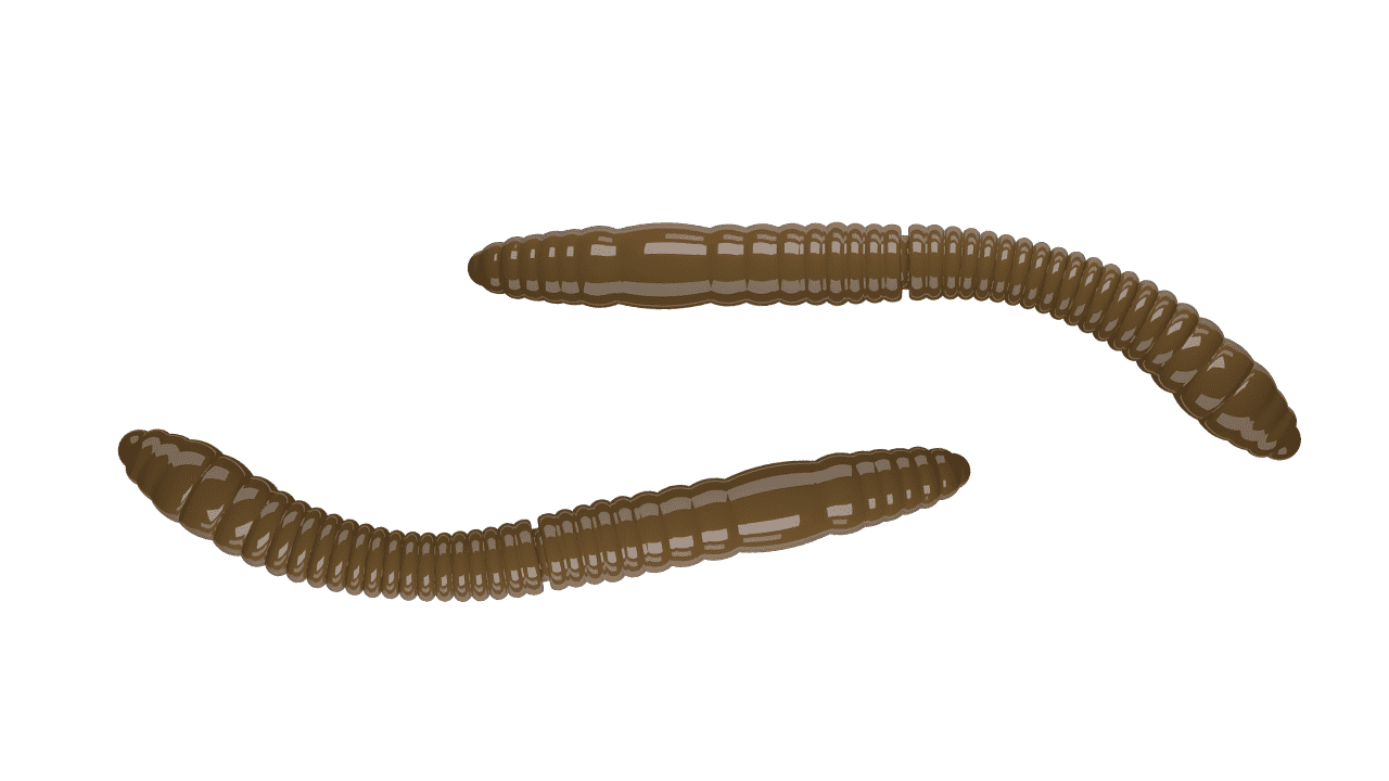 Libra Lures Fatty D’Worm Tournament 55 - Brown (Cheese) /12 ks