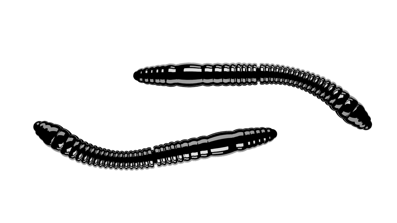 Libra Lures Fatty D’Worm Tournament 55 - Black (Cheese) /12 ks