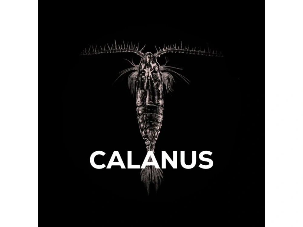 Squat Carp Bait spray Calanus 50 ml