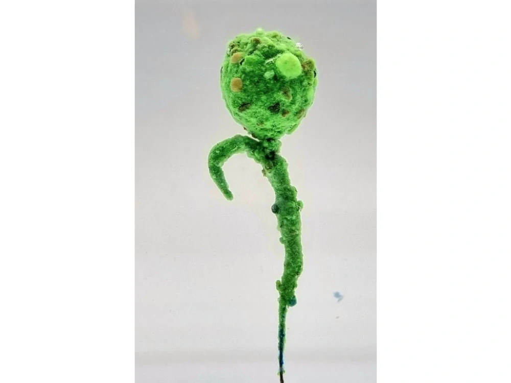 A Baits Crystal Dip Česnek 50g