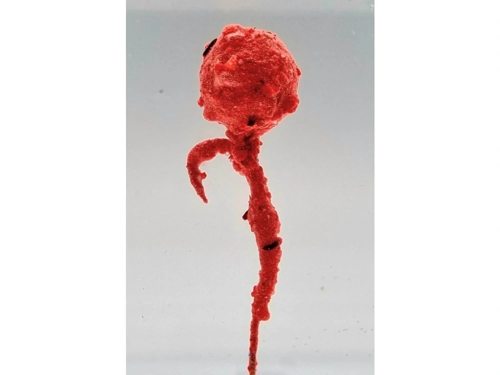 A Baits Crystal Dip Jahoda 50g