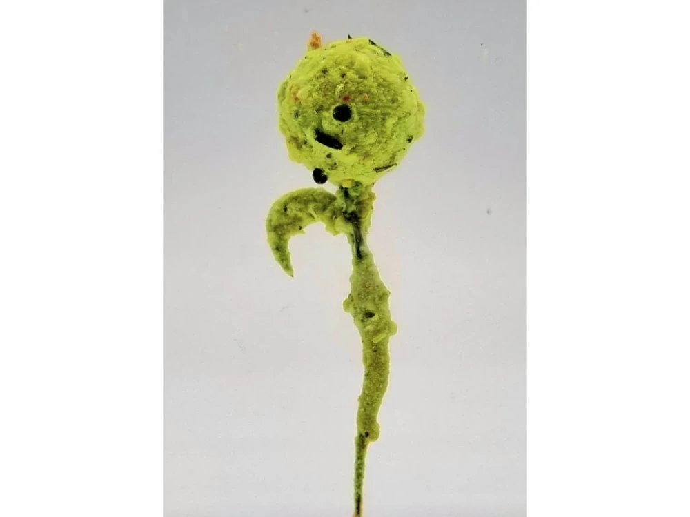 A Baits Crystal Dip Med 50g