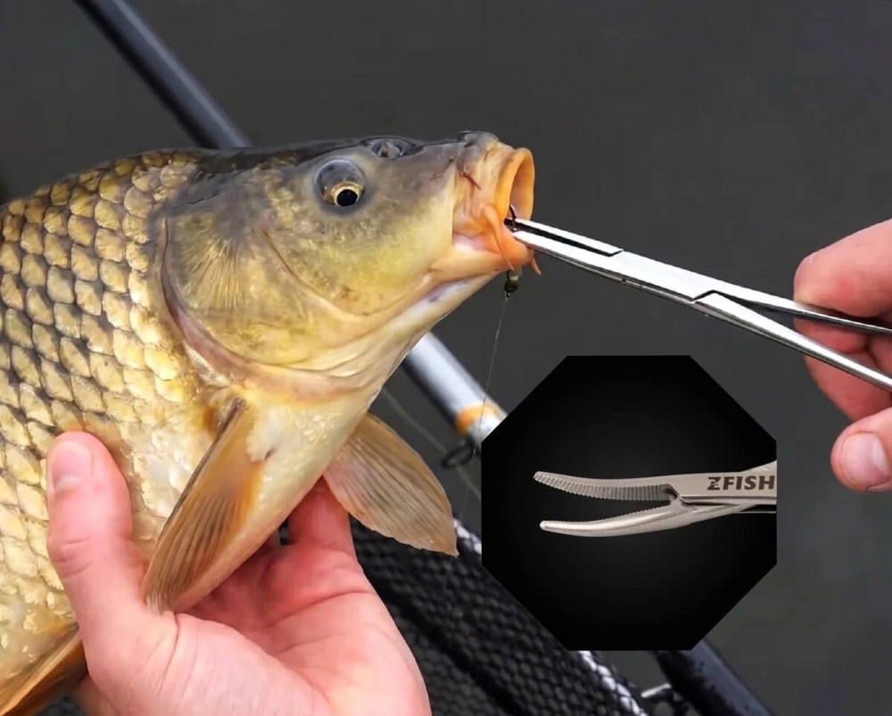 Zfish Pean zahnutý Forceps Curved 10 cm