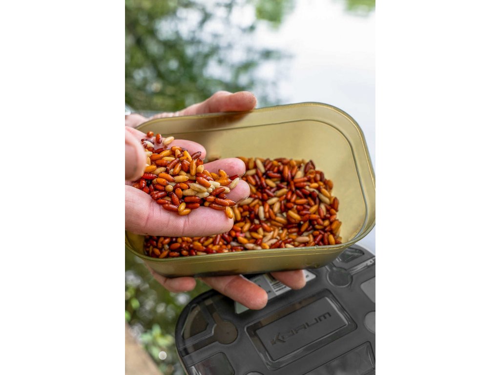 Korum Krabička Bait Tub 0,6l