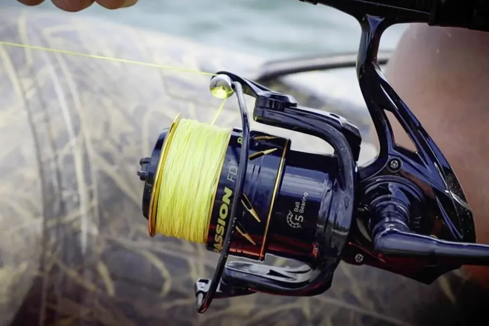 Black Cat Naviják Passion FD 80