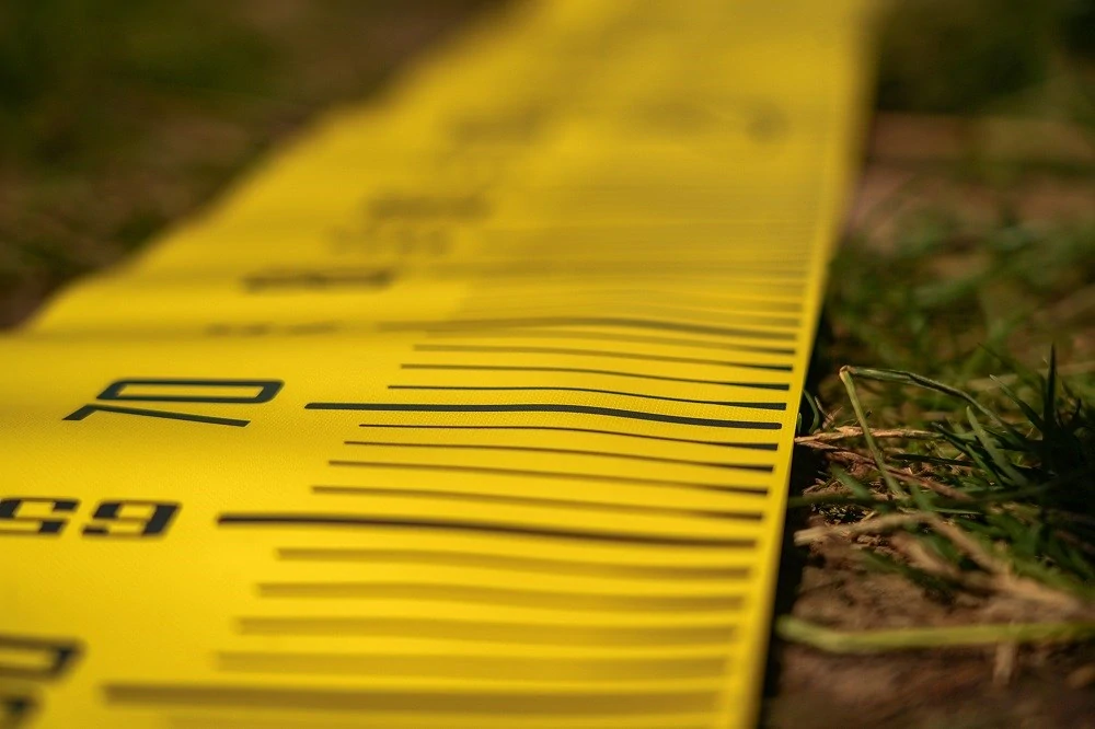 Black Cat Metr Cat Measure