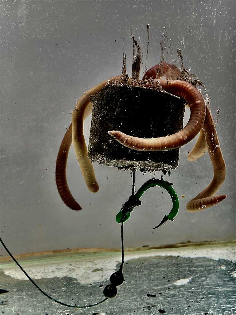LK Baits POP-UP Pelety v dipu Sumec Special 38mm/200g