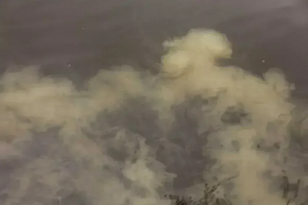 Nikl Boilie Economic Feed Rape Cloud 20mm/5kg