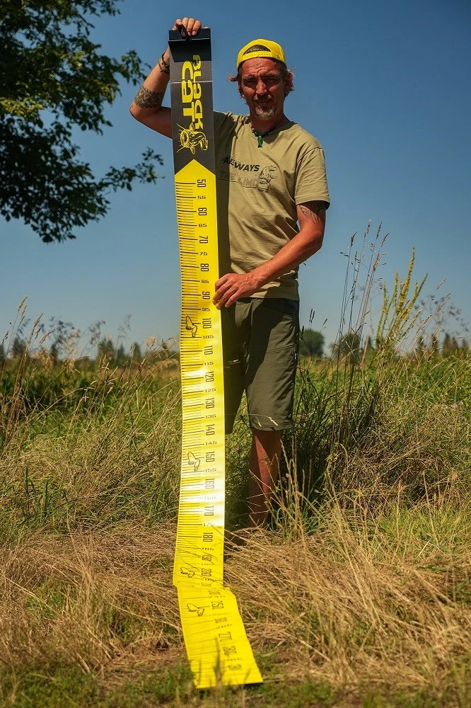 Black Cat Metr Cat Measure