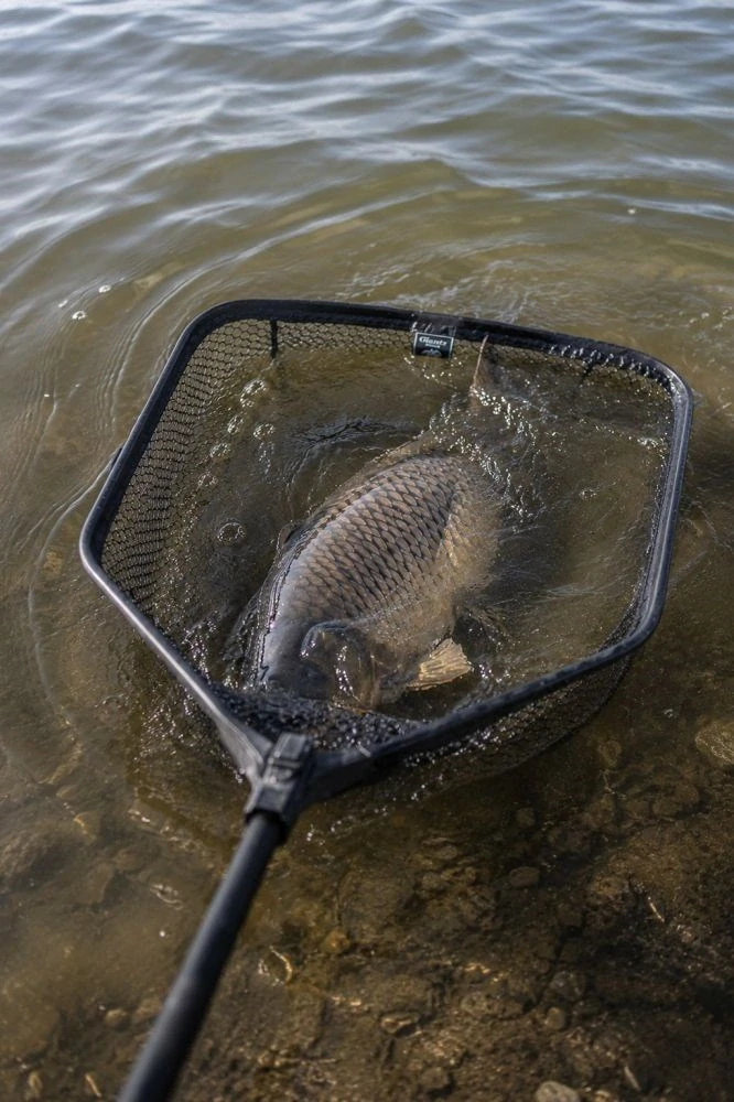 Giants fishing Plovoucí podběrák s pogumovanou síťkou Luxury X-Large Float 80x70cm