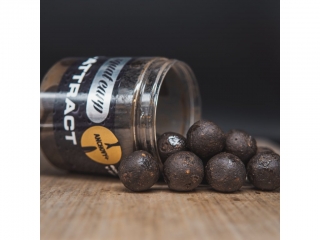 Squat Carp HI-ATTRACT Boilies v dipu Anchovy+ 24mm/220g