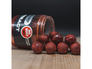 Squat Carp HI-ATTRACT Boilies v dipu Big Boss 20mm/220g