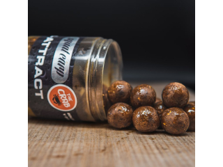 Squat Carp HI-ATTRACT Boilies v dipu The Crab 24mm/220g