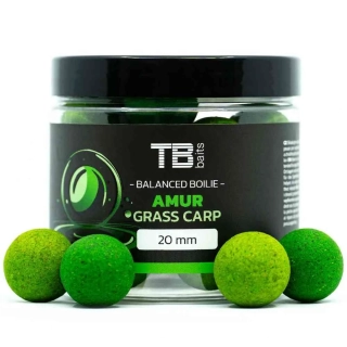 TB Baits Vyvážené Boilie Balanced + Atraktor Amur 20mm/100g