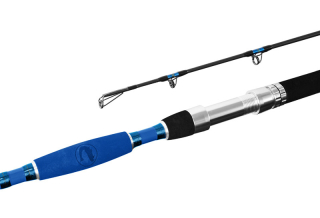 Delphin Prut HAZARD 285cm/500g/2 díly