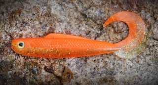 Redbass Gumová nástraha Twister Kixter Orange G UV 125 mm