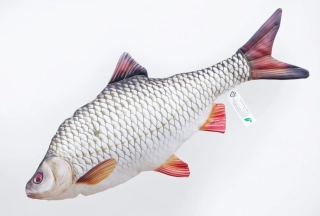 GABY Polštář Plotice obecná 52 cm