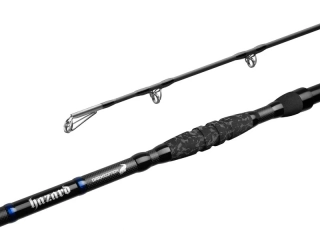 Delphin Prut Hazard Darx 285cm/500g/2 díly