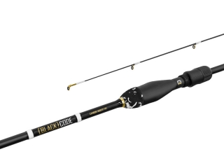 Delphin Prut BLACK CODE C.I.T. 213cm/2-9g/2 díly