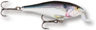 Rapala Wobler Shallow Shad Rap 09 SD