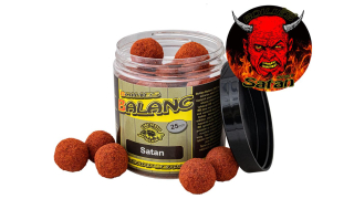 Carp Servis Václavík Boilies Balanc Satan 25mm/120g