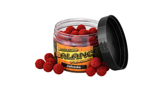 Carp Servis Václavík Boilies Balanc Feeder Jahoda 12mm/80g