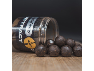 Squat Carp HI-ATTRACT Boilies v dipu Anchovy+ 18mm/220g