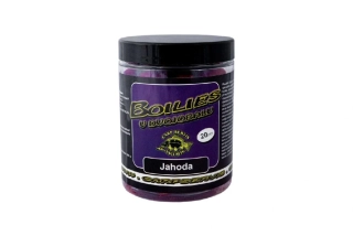 Carp Servis Václavík Boilies v dvojobalu Jahoda 20mm/180g