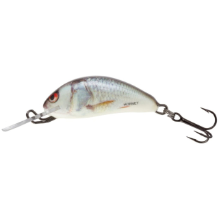 Salmo Wobler Hornet Sinking Real Dace 2,5 cm