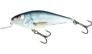 Salmo Wobler Executor Shallow Runner Real Dace 7 cm