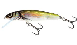 Salmo Wobler Minnow Floating Holo Bleak 7 cm