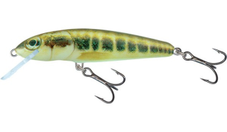 Salmo Wobler Minnow Floating Minnow 7 cm