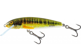 Salmo Wobler Minnow Floating Holo Real Minnow 7 cm