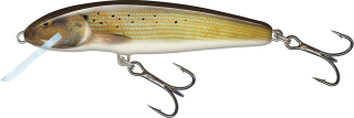Salmo Wobler Minnow Floating Grayling 7 cm
