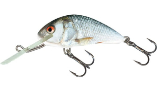 Salmo Wobler Hornet Sinking Real Dace 5 cm