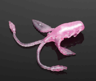 Libra Lures Pro Nymph - Pink Pearl (Cheese) /15 ks