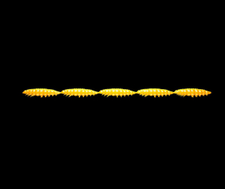 Libra Lures Larva Multi 5x25 - Yellow (Cheese) /5x5 ks