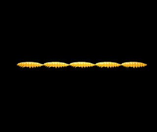 Libra Lures Larva Multi 5x25 - Dark Yellow (Cheese) /5x5 ks