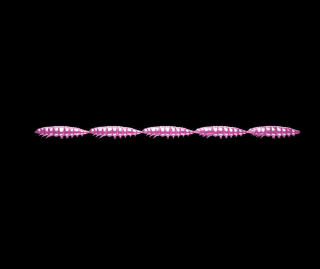 Libra Lures Larva Multi 5x25 - Pink Pearl (Cheese) /5x5 ks