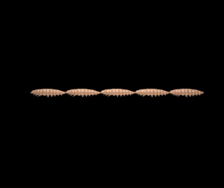 Libra Lures Larva Multi 5x25 - Pellet (Cheese) /5x5 ks